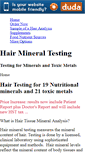 Mobile Screenshot of hairmineraltesting.com