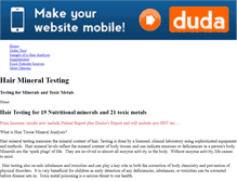 Tablet Screenshot of hairmineraltesting.com